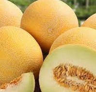 

Семена дыни Берегиня