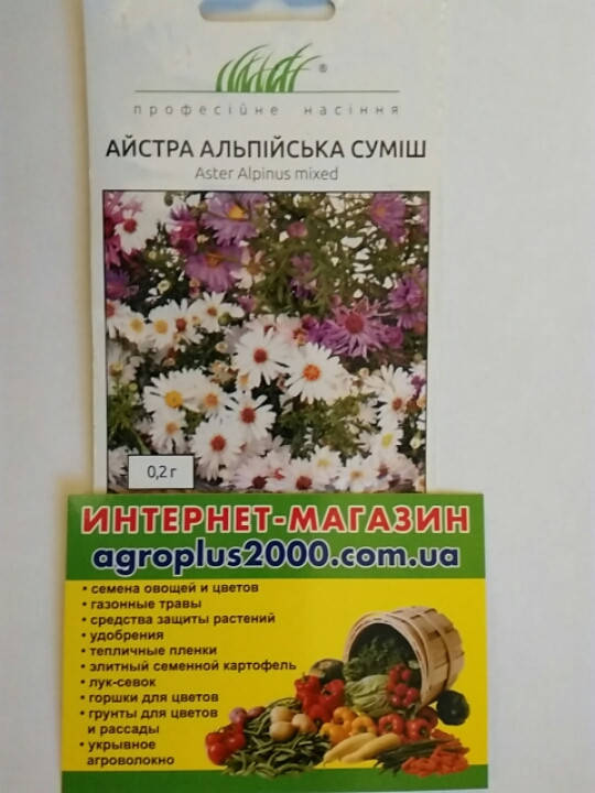 

Семена Астра Альпийская смесь 0,2 грамма Hem Zaden, Разные цвета
