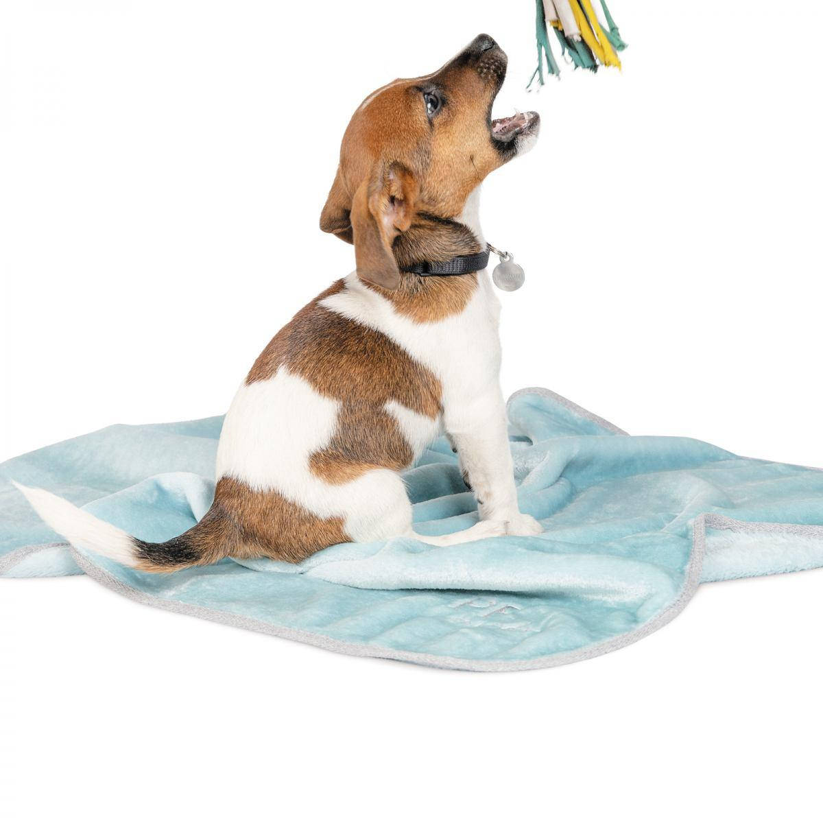 

Плед Pet Fashion Trends "BLISS" мята 77х100