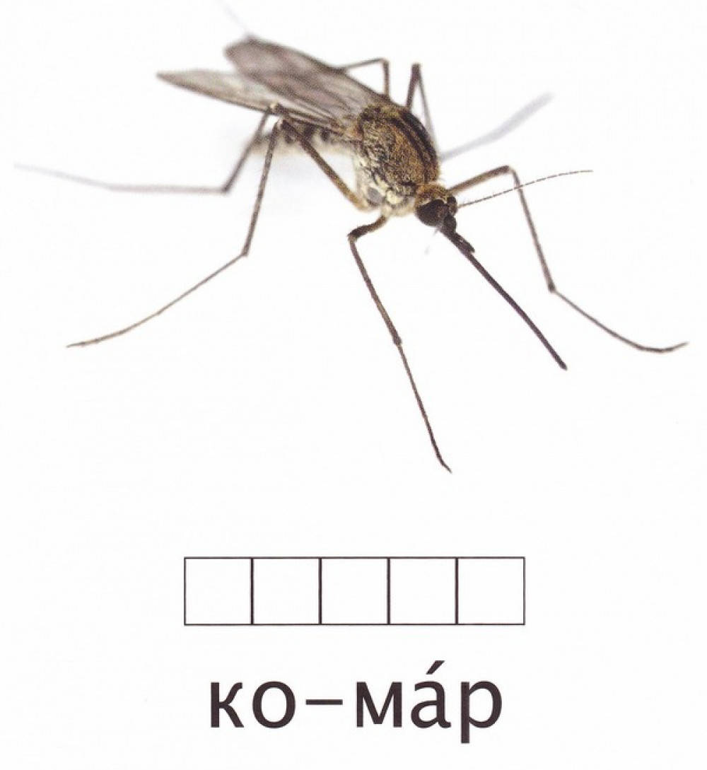 

Карточки по методике Домана «Комахи», СВЕНА