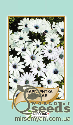 

Семена маргаритки капской, 20 семян А