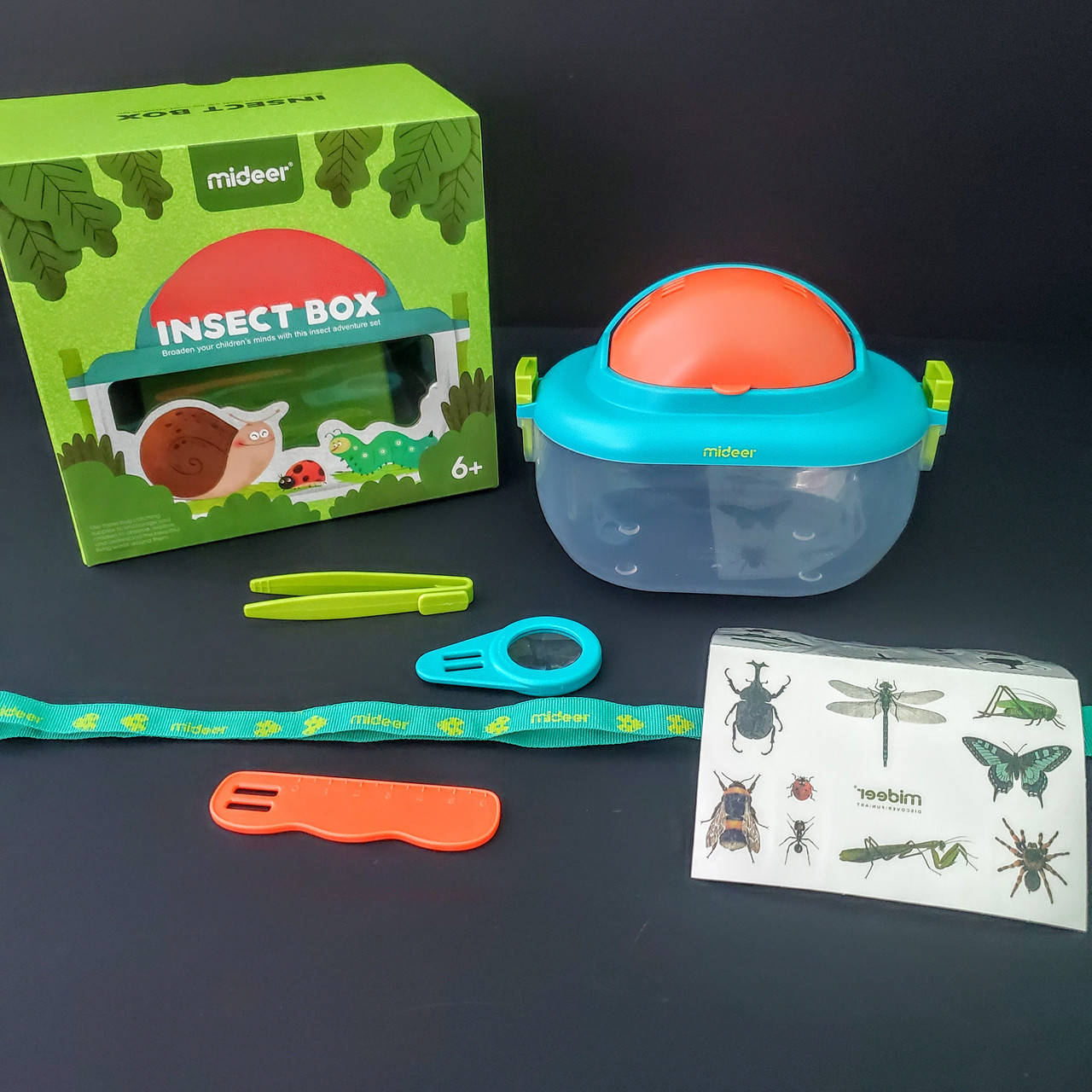 

Набор для наблюдения за насекомыми Mideer Toys