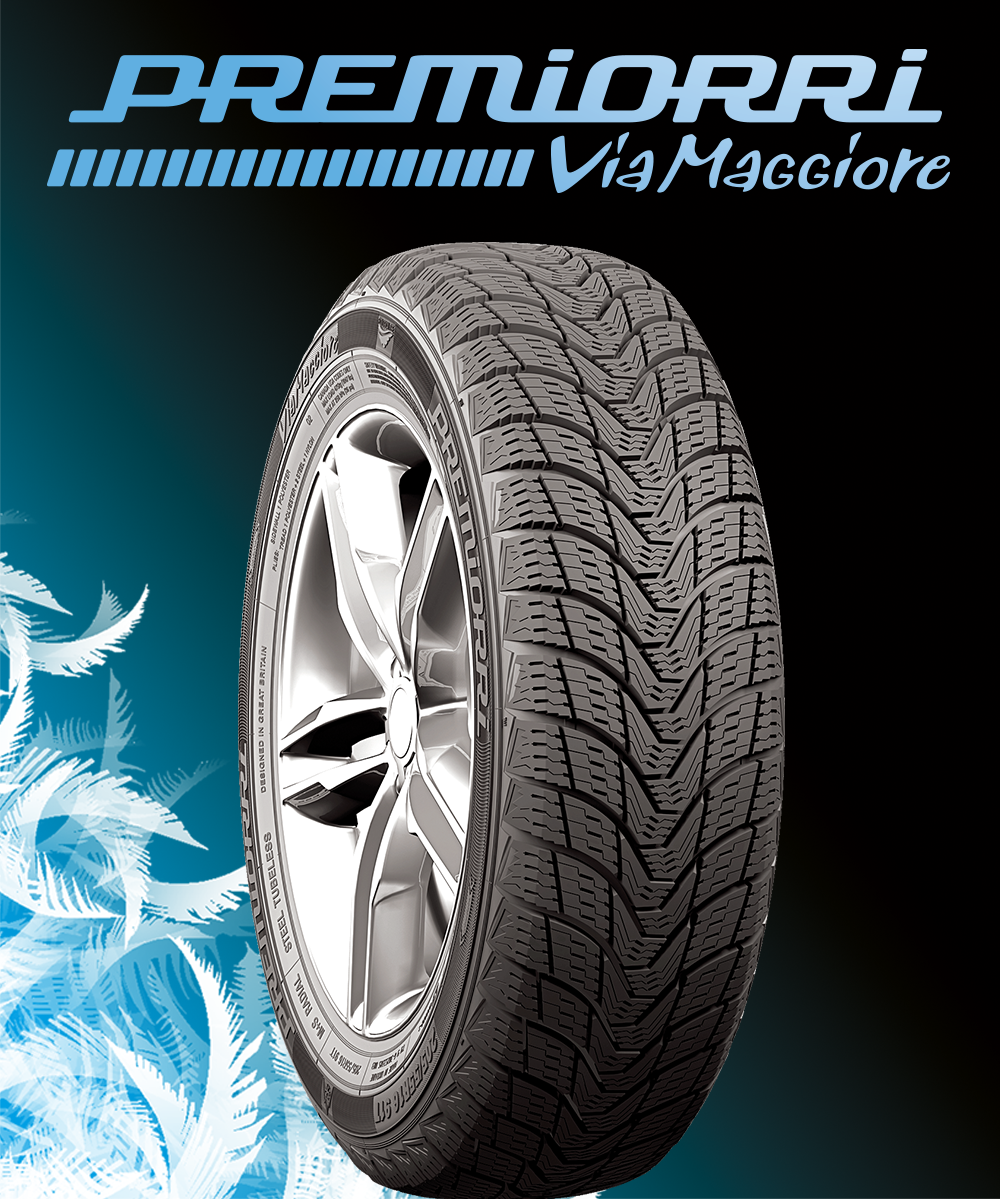 

Шины зимние 175/70R13 82T Premiorri ViaMaggiore Есть все размеры