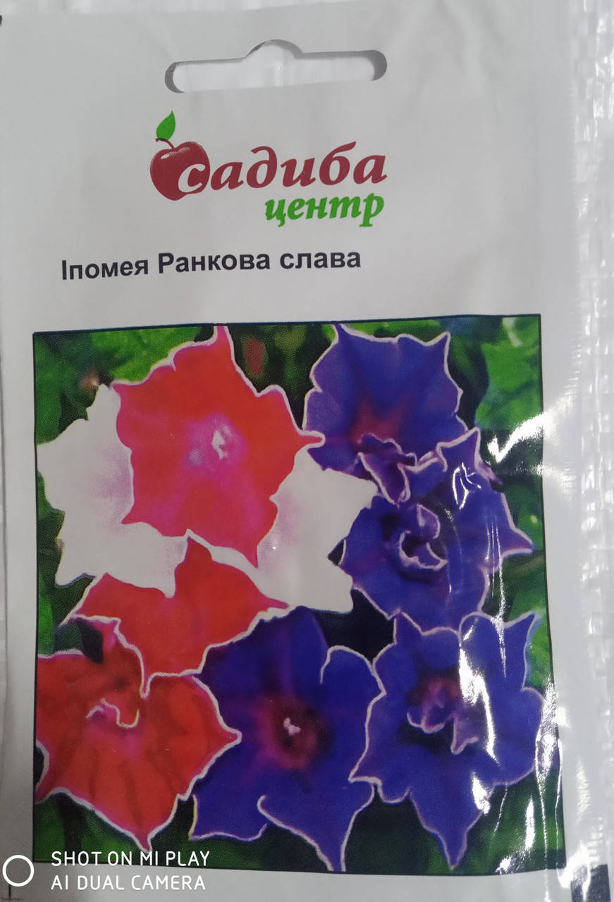 

Насіння іпомея Ранкова слава 0,3 гр. "HEM ZAZED" Нідерланди, Разные цвета