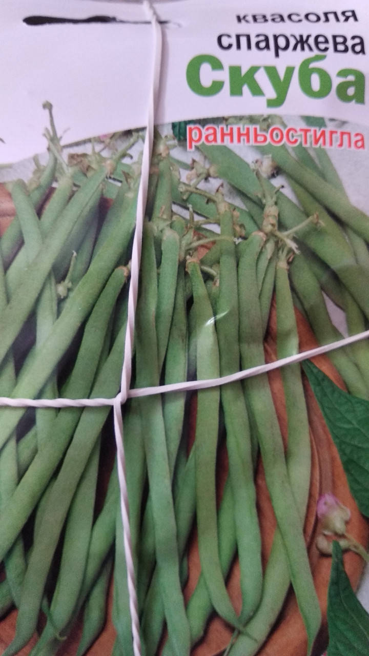 

Фасоль спаржевая Скуба, 10г