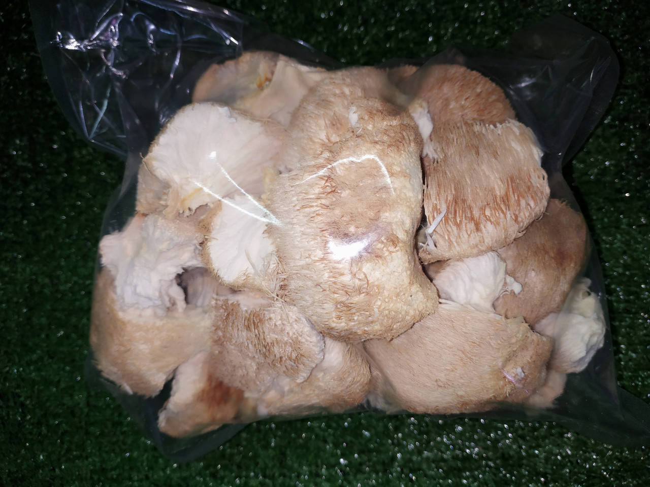 

ГЕРИЦИУМ ГРЕБЕНЧАТЫЙ сушеный (Ежовик) Hericium erinaceus
