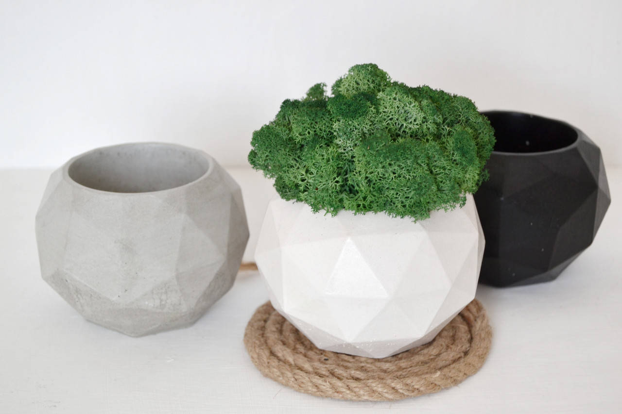 

Стабилизированный мох в горшке из бетона Diamond 8*10см. Кашпо с мхом.