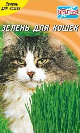 

Семена зелени для кошек, Зелёный