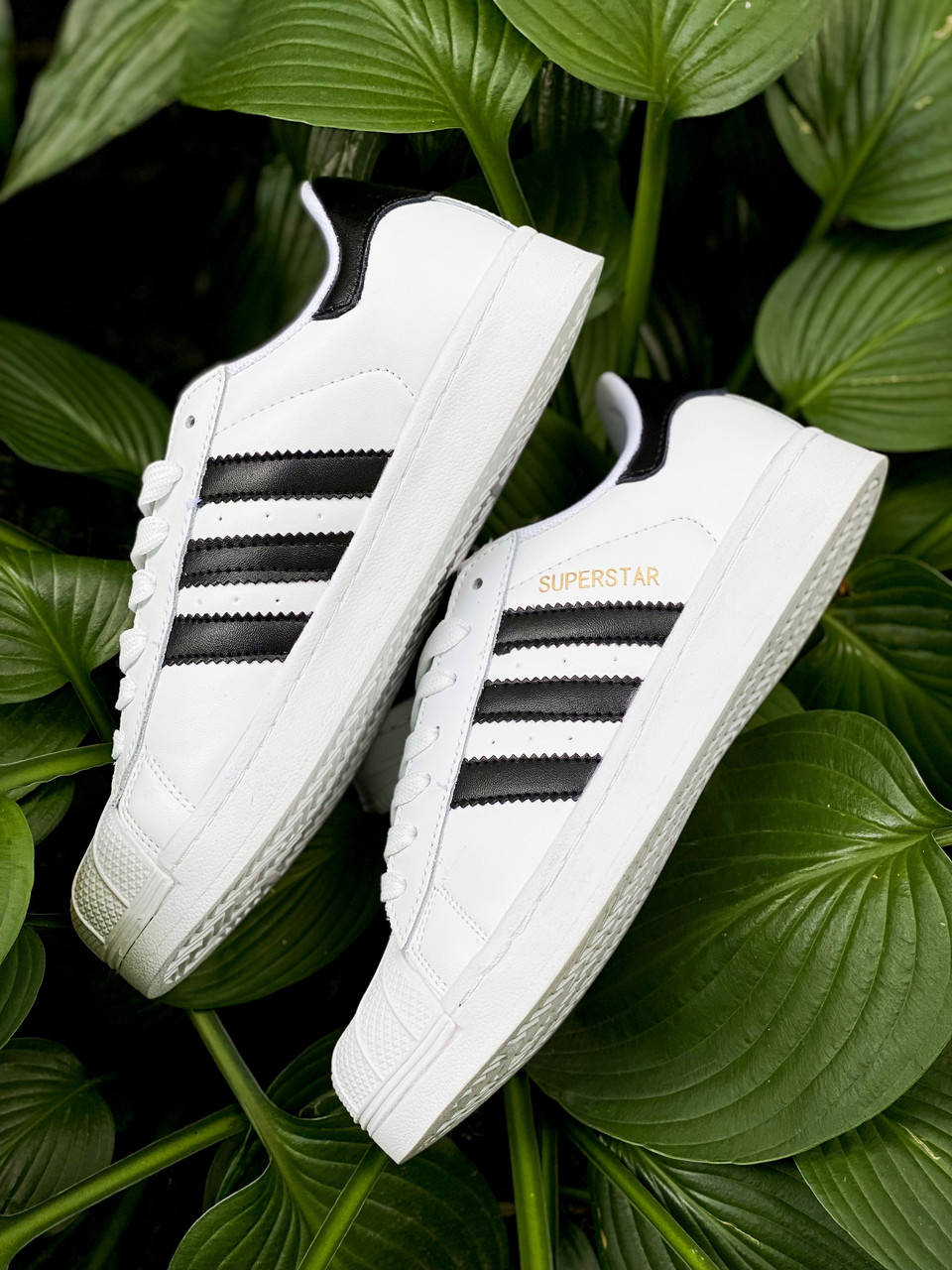 

Женские кроссовки Adidas Superstar White Originals (Белые) Адидас Суперстар, Белый