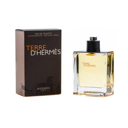 

Hermes Terre d`Hermes EDT 100 ml
