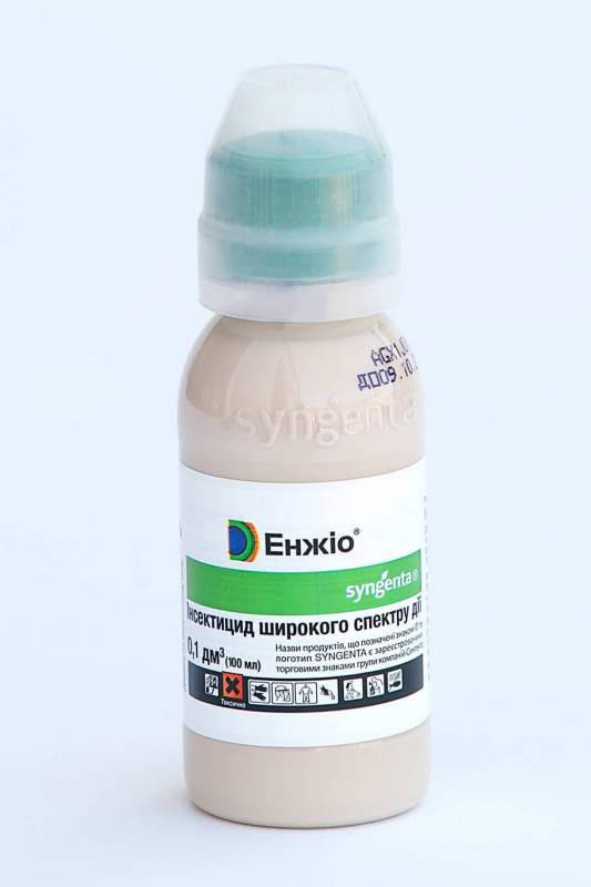 

Инсектицид Энжио 100 мл Syngenta