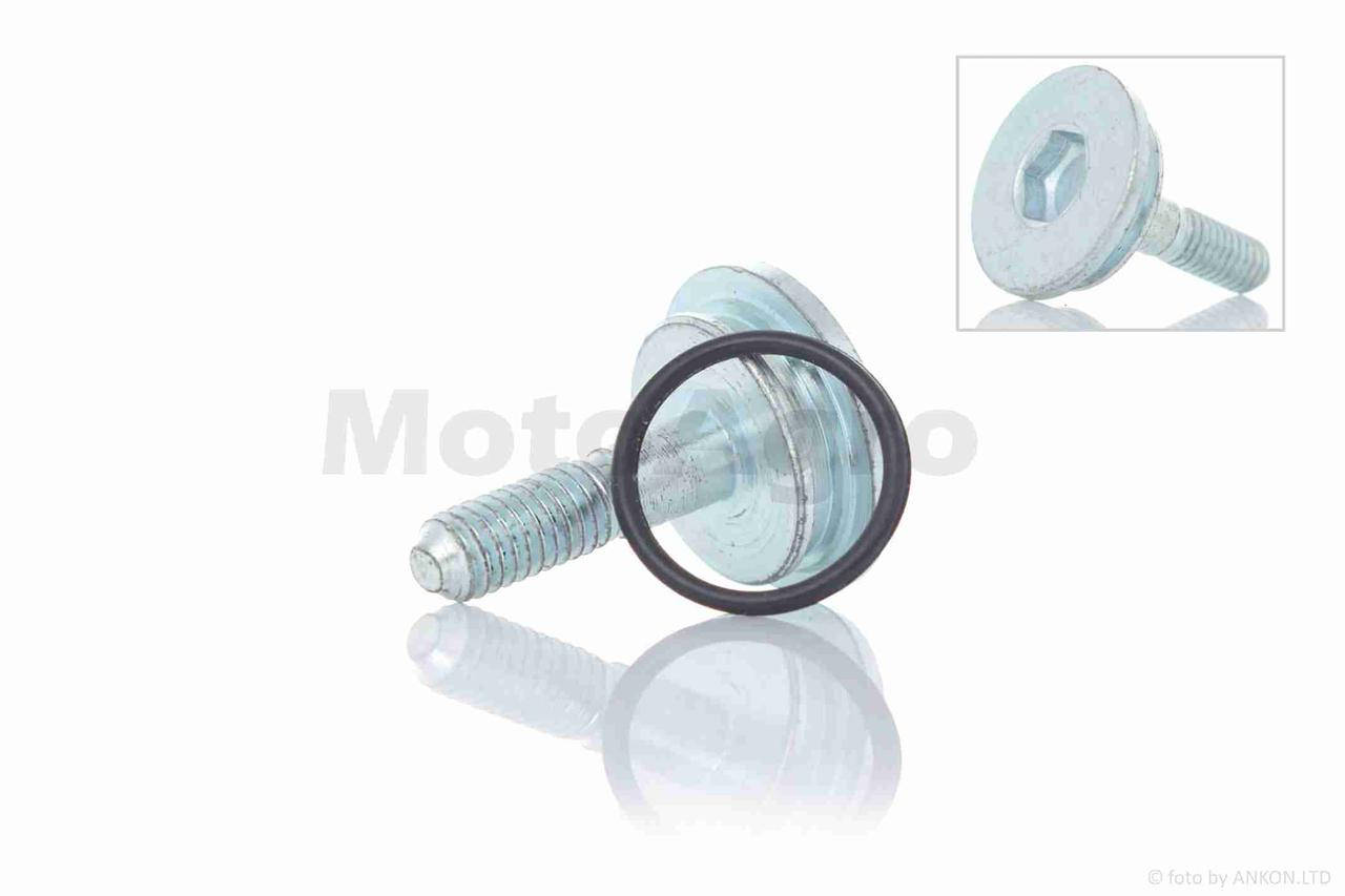 

Болт успокоителя цепи ГРМ (лыжи) GY6 150 #OEM