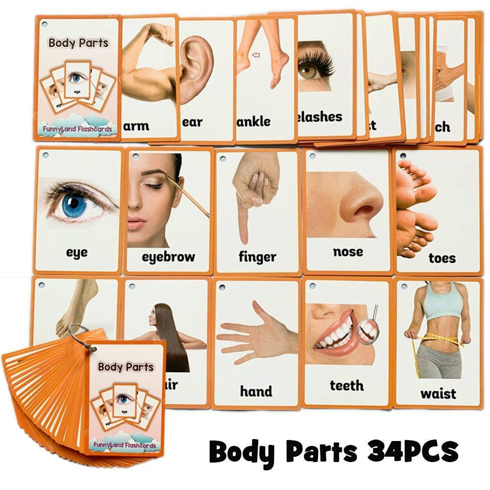 

Flashcards "Body Parts"