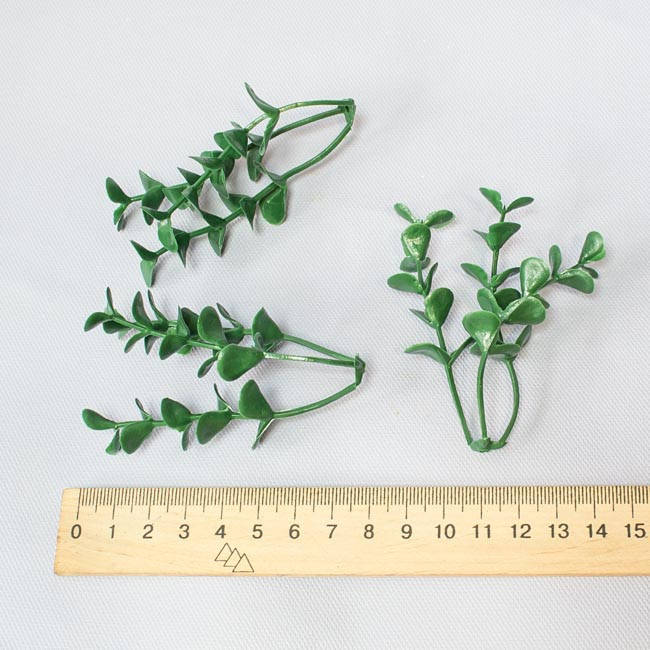 

Самшит зеленый 3 веточки за 100 грамм Самш-2