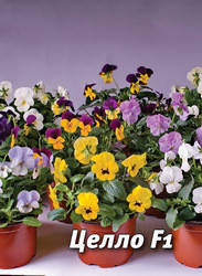 

Семена виолы Целло F1, 50 шт., смесь