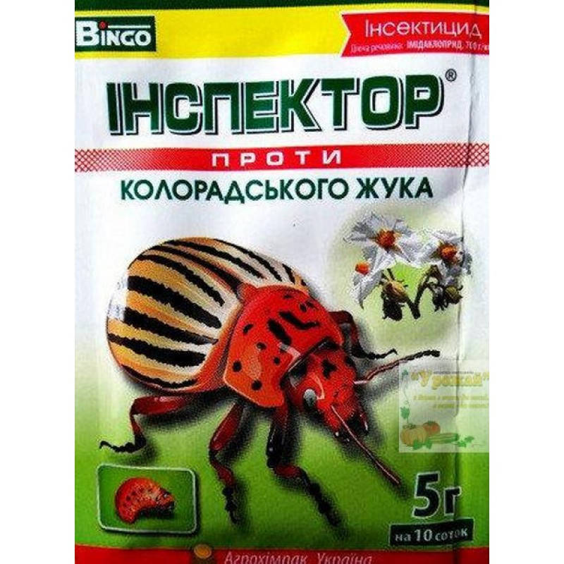 

Инспектор жук 5г.