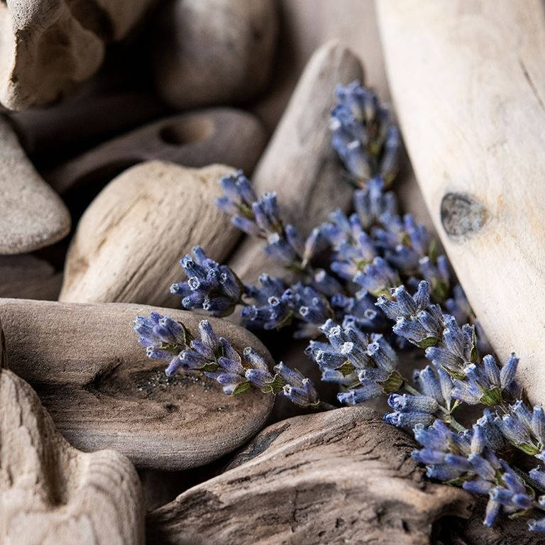 

Lavender & driftwood / Лаванда та дріфтвуд, 10 г