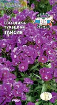 

Семена Гвоздика турецкая Таисия 0,5 грамма Седек, Фиолетовый