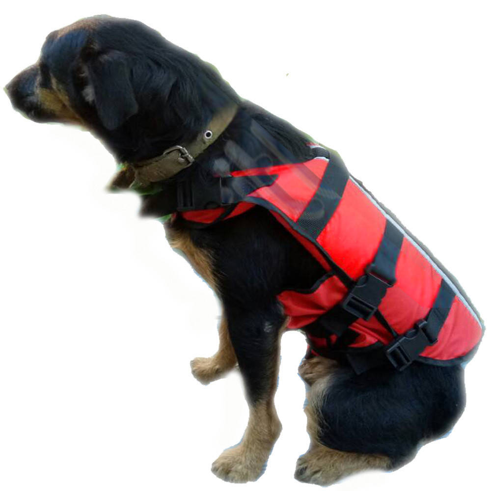 

Спасательный жилет для собак