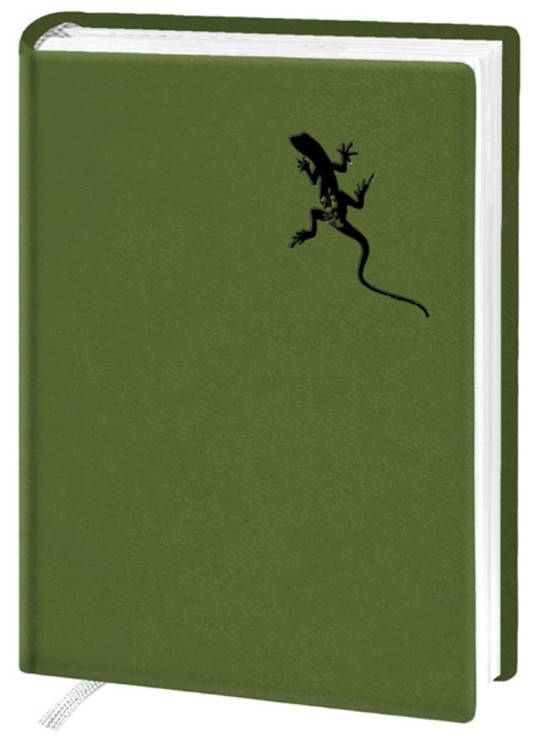 

Деловой дневник недат. А6, 98*140, 146 л., клетка, иск. кожа, салатовый, тиснение