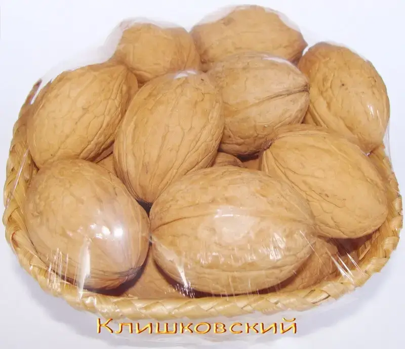 

Грецкий орех "Клишковский" / 2 года / Саженцы / Премиум Качество