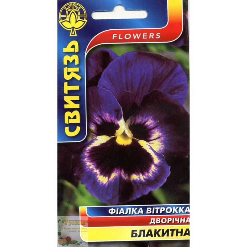 

Семена цветы Фиалка Витрокка голубая, 0,2 г, Голубой