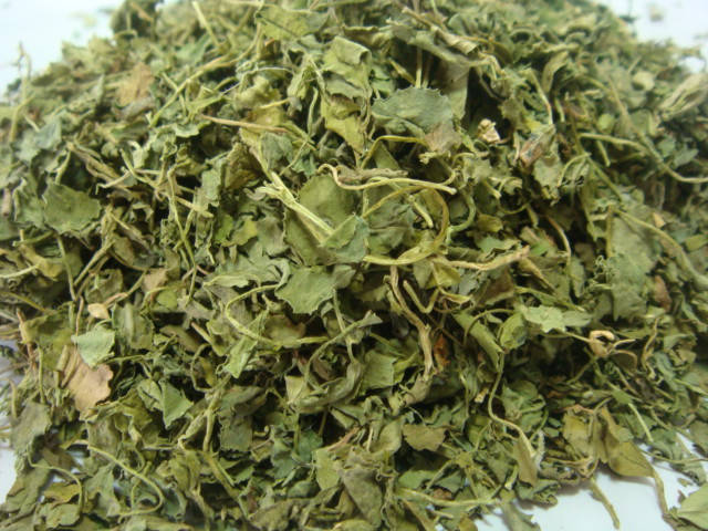 

Касури метхи (100 grm) Kasuri Methi, листья шамбалы (пажитника) сушёные, Аюрведа Здесь