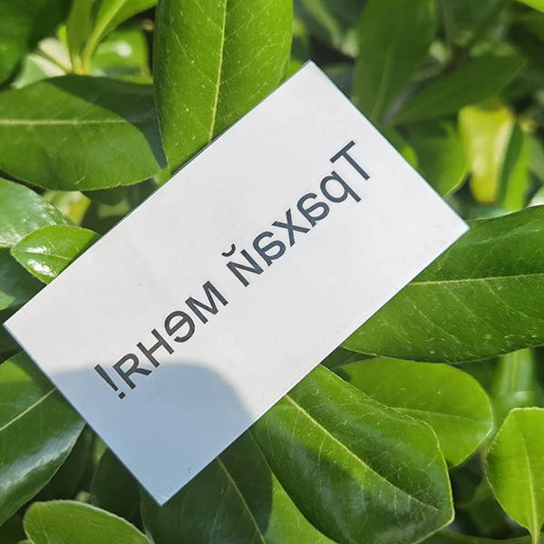 

Флеш тату Трахай меня! переводная-временная татуировка, водостойкая