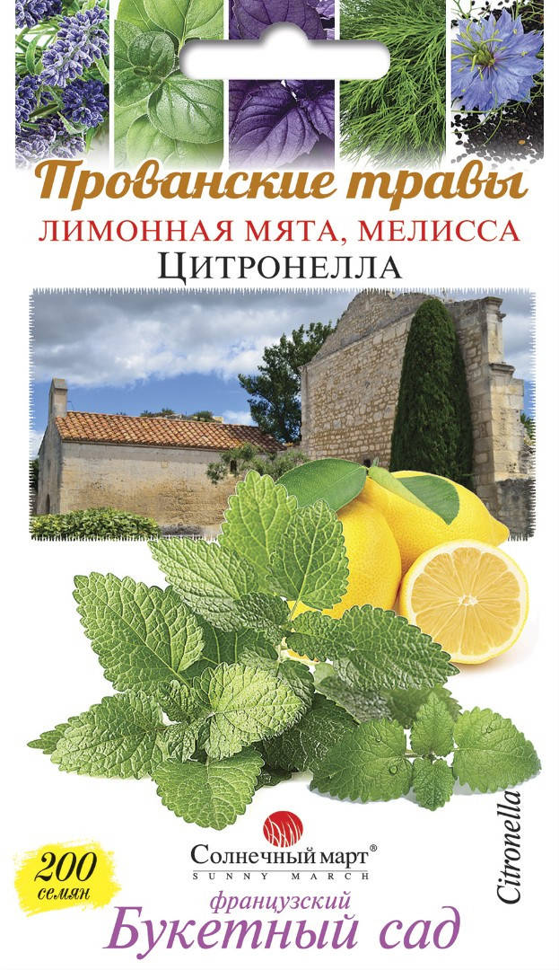 

Семена Мелиса Цитронелла Солнечный Март, 200шт, Зелёный