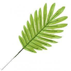 

Лист искуственной Пальмы светло-зелёный, 40см