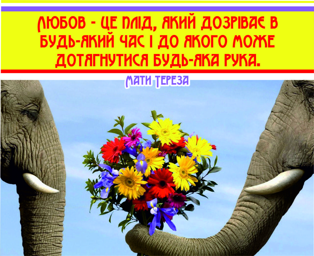 

Міні-листівка: Любов - це плід, який дозріває... #184