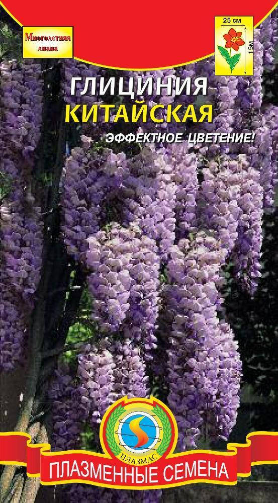 

Глициния китайская 2 шт (Плазменные семена)