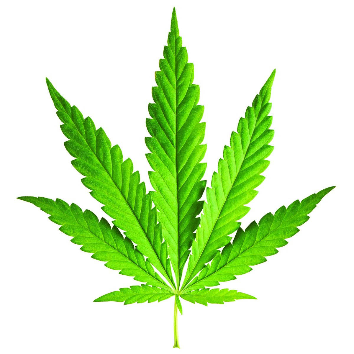 

Ароматизатор TPA Mary Jane (Мэри Джейн) 5мл.