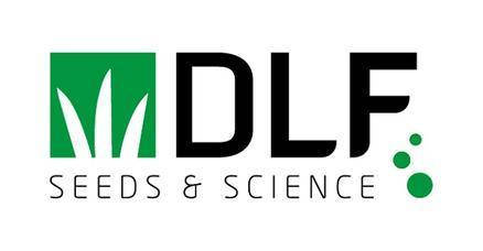 

КЛЕВЕР (декоративный) белый ползучий DLF Trifolium 1 кг на вес из мешка