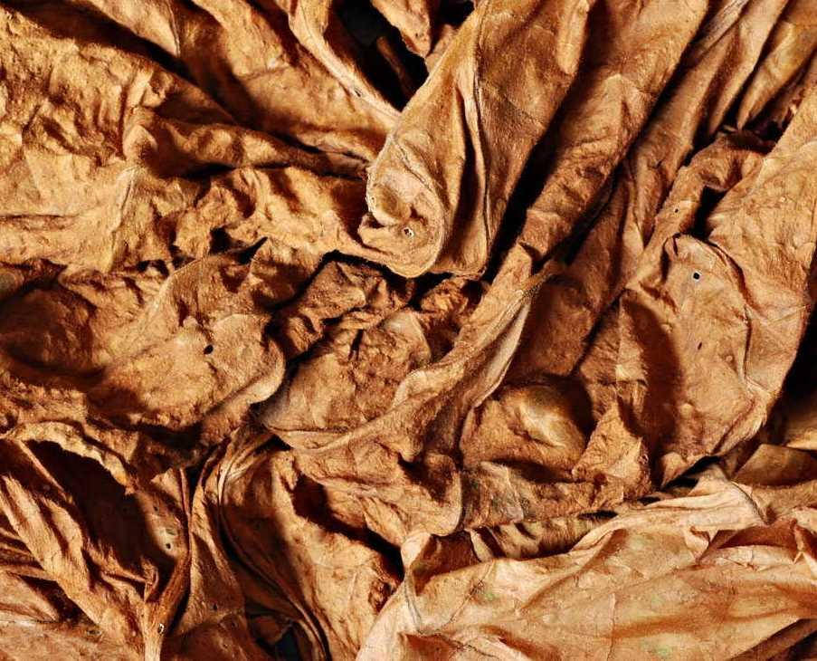 

Ароматизатор TPA Tobacco (Табак) 5мл.