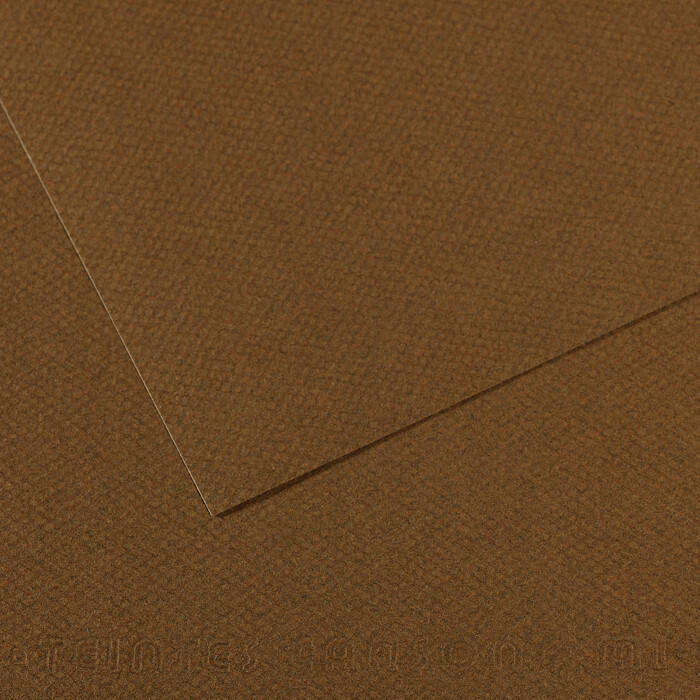 

Папір для пастелі MI-TEINTES® A3 160G MARRON FONCE 501