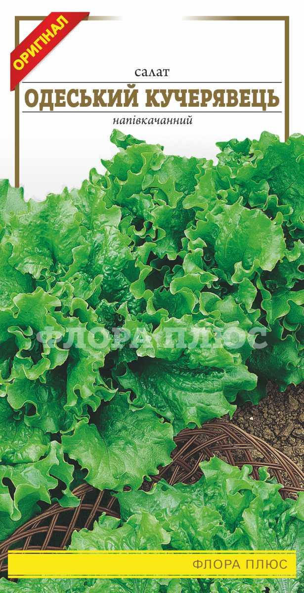 

Семена салат Одесский кучерявец Флора плюс
