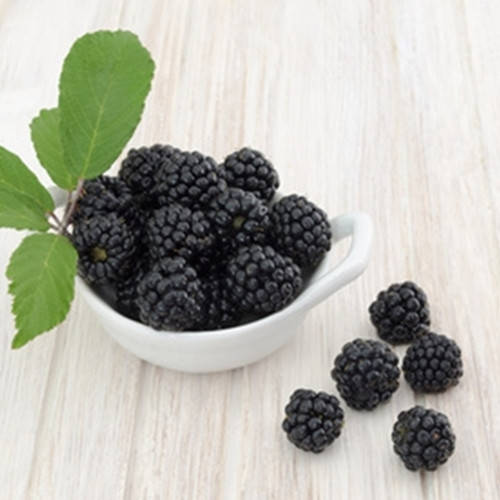 

Ароматизатор TPA Boysenberry (Шелковица) 5мл.