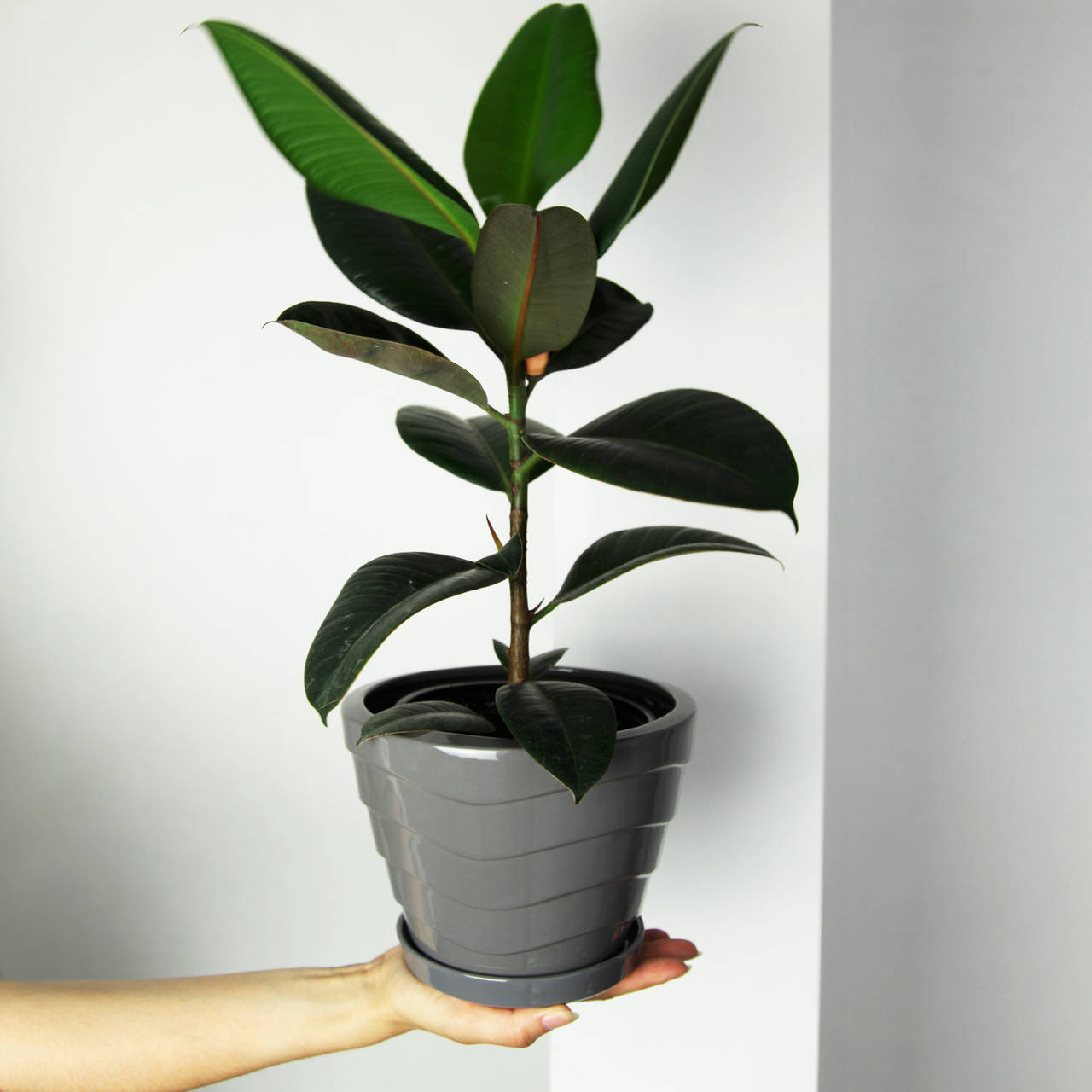 

Вазон керамический для цветов "Конус з хвильками" 2л Rezon Серый P252