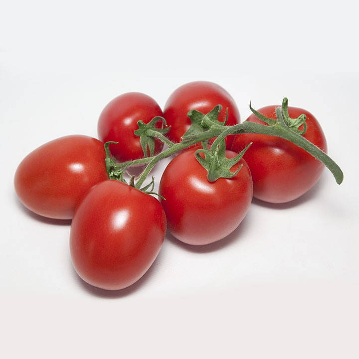 

Семена Томат индетерминантный KS 3819 F1 поштучно 10 семян Kitano Seeds