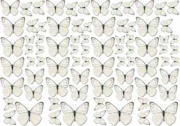 

Вафельная картинка Бабочки А4