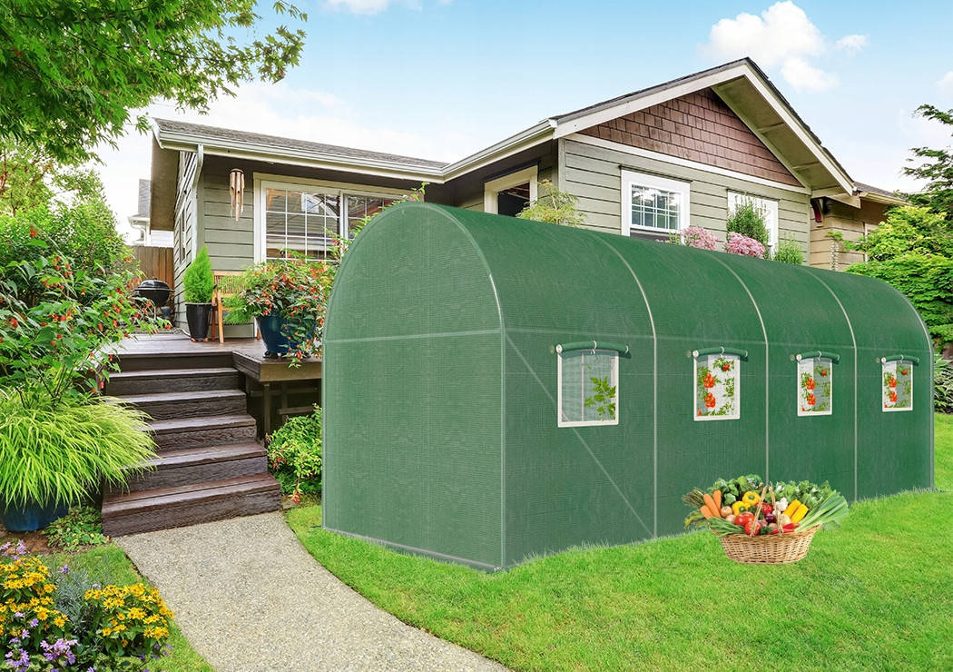 

Садовая теплица с окнами Carruzzo 400x250 cm, Зелёный