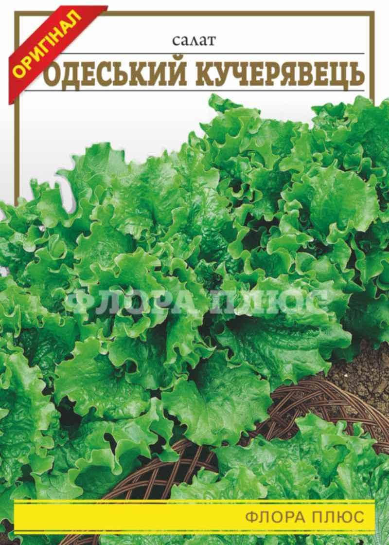 

Семена салат Одесский кучерявец Флора плюс 10г.