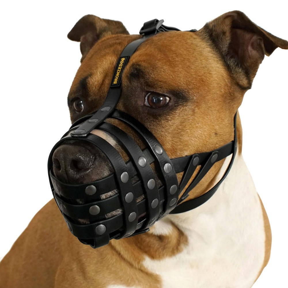 

Намордник водоотталкивающий биотановый питбуль, амстаф Bronzedog, Черный