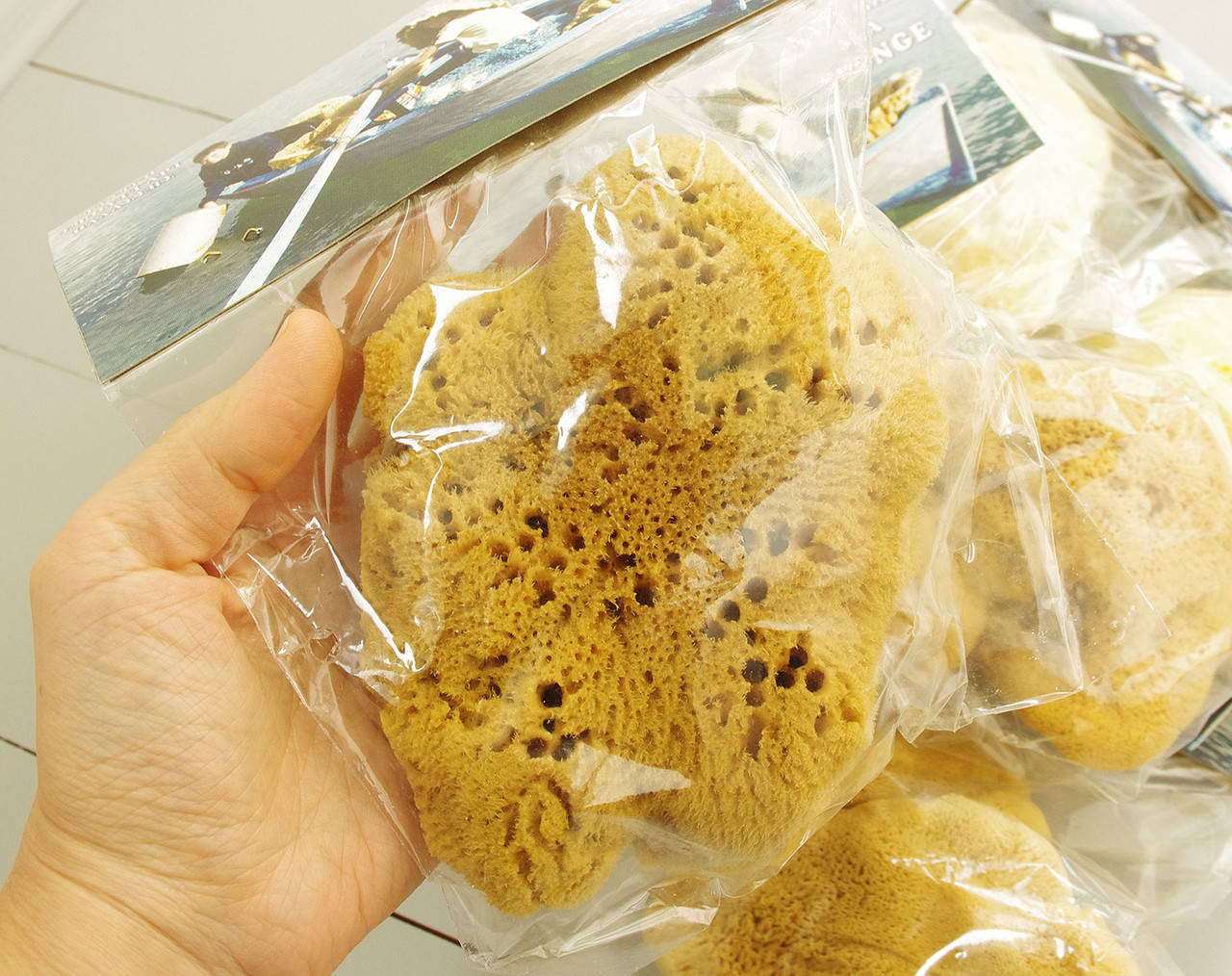 

Морская губка Fina Silk для тела, натуральная, 5-5,5 дюйма, Греция, Коричневый