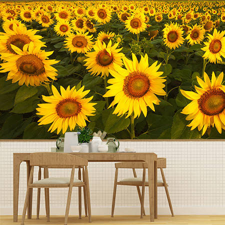 

Фотообои Поле подсолнухов Артикул 11181