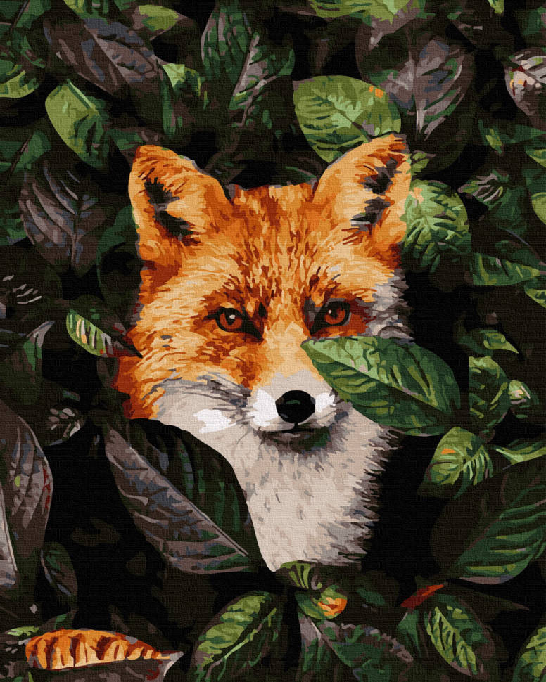 

Картина по номерам Лисица 40х50