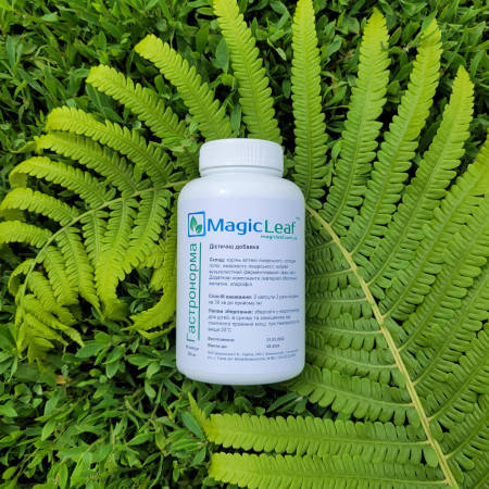 

Гастронорма 90капс. «MagicLeaf» сбор трав в капсулах (гастрит и язва)