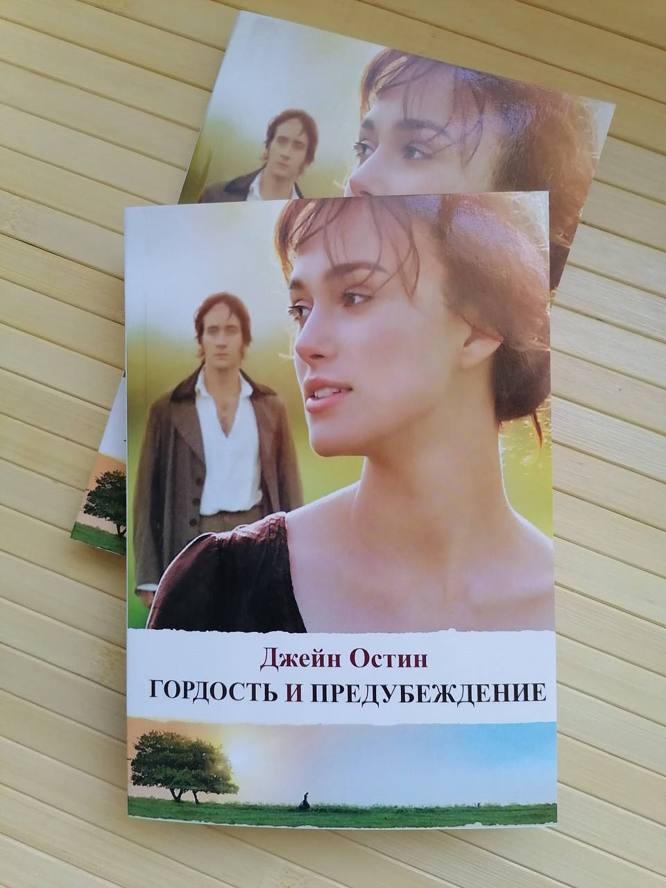 

Джейн Остин Гордость и предубеждение ЗК