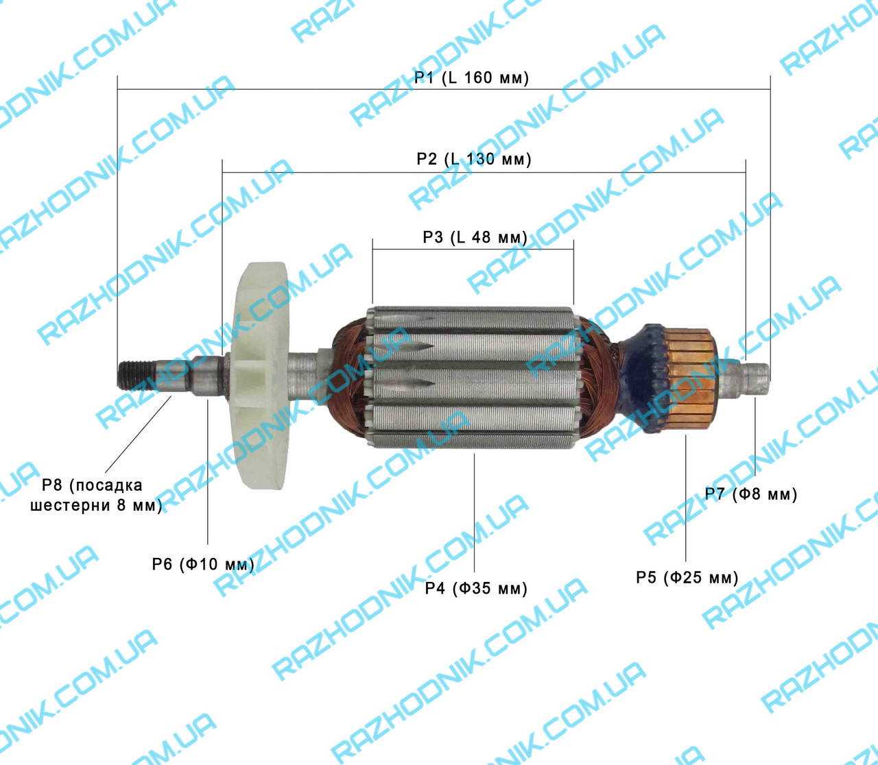 

Якорь на болгарку DWT WS08-125